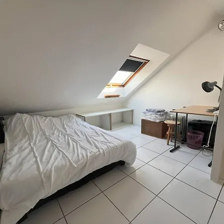 Duplex Avec Terrasse A 750m De La Mer, Parking Privatif Inclus - Fr-1-392-236 Apartmán